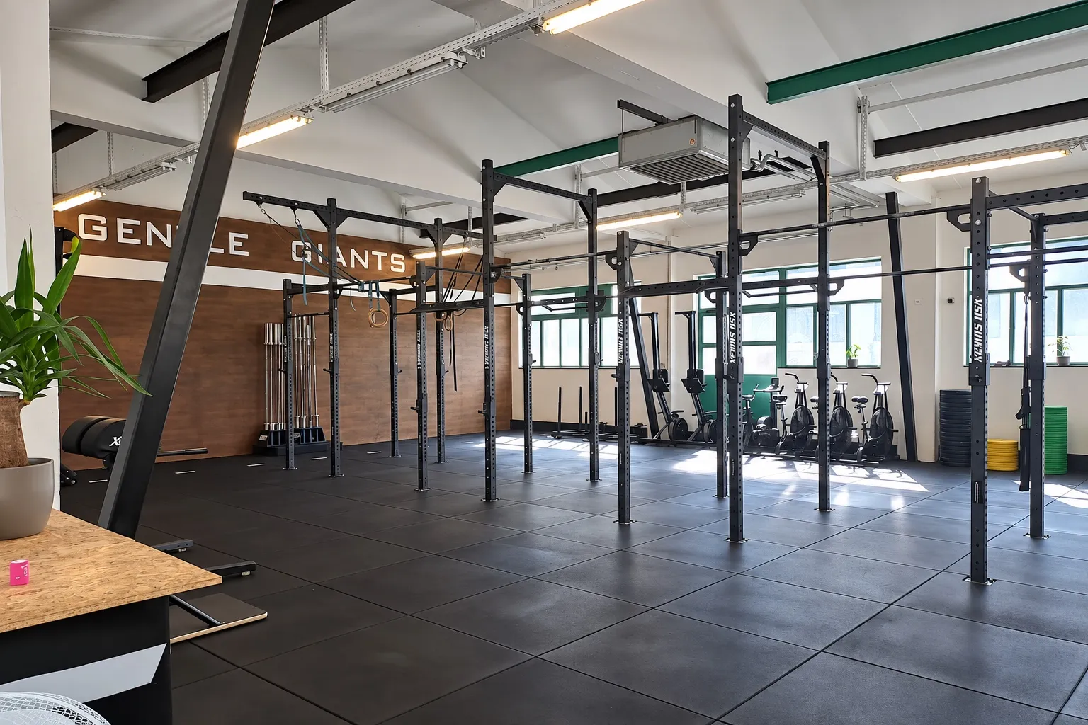 MAIN ROOM